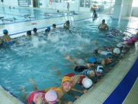 고성군 문화체육센터, 여름방학 수영 특강교실 운영