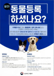 사천시, 반려견 동물등록 자진신고 기간 운영