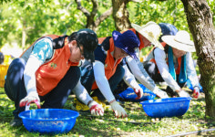경남농협, 밀양 단장면 태풍 피해 농가 지원