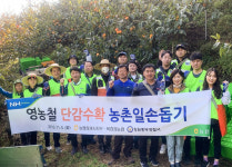 농협창원시지부·북창원농협·창원중부경찰서 단감수확 일손돕기