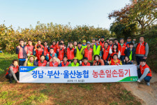 경남·부산·울산농협, 김해서 농촌일손돕기