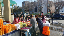 고성군 하일면 청년회, 김장 200포기 담가 경로당 전달