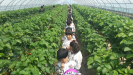 겨울방학 ‘자연 속 농촌체험’ 인기