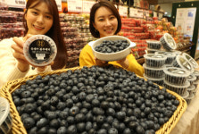 [포토뉴스] 김해산 블루베리 맛보세요