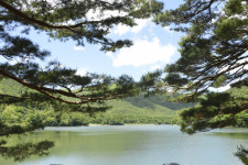 법기수원지를 어찌할꼬