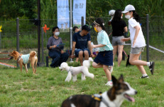 반려동물 친화형 ‘창원 펫-빌리지 놀이터’ 개장