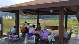 갈 곳 잃은 노인들… 코로나, 무더위 이중고