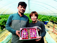 합천동부농협 이용태·박성남 부부 ‘국무총리표창’