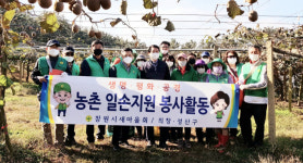 창원시새마을회, 참다래 농장서 일손돕기