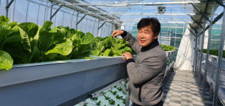 메기 키우며 채소도 재배하는 농법 아시나요