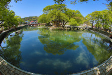 함안 무진정에 관광객 무진장 찾아오네