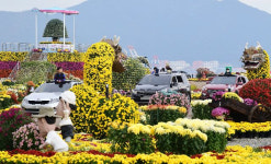 마산국화축제, 올해도 ‘차량이동식 관람’ 추진