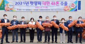 합천 햇양파 3000t 대만 수출길