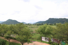 [람사르초록기자세상] 김해 화포천, 국가습지정원으로 인정받기를