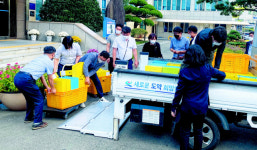 고성군의회는 왜 ‘트럭 1대분 자료’ 요구했을까