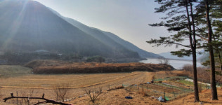 임고면-수성리-31 | “24년 방치된 준설토에 농지 침수 등 피해”