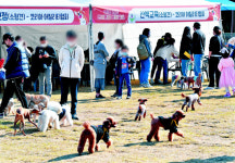멍냥이 더 행복하게… 창원에 펫 문화공간