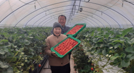 [인물 투데이] 박해용  합천 블루오션팜 대표