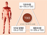 [비만대사환자 운동 치료 방법] 적게 먹고 열심히 걷고 지방 빼고
