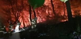 창원 마산합포구 자산동 산불 5시간 만에 진화