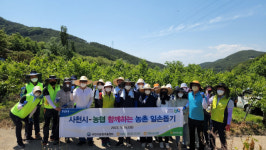 농협사천시지부·농기센터·정동농협, 농촌 일손돕기