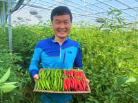 [기획- 창원 청년농업인‘청년iN 팜’] ⑥ 장성하 농장 장성하 대표