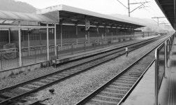 창원중앙역 선로에서 열차에 치인 50대 남성 숨져