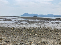 [람사르초록기자세상] 멸종위기종 서식하는 앵강만, 우리가 지켜야