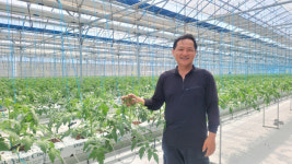 “토마토는 그날 따 그날 먹어야죠”