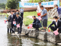 함양군, 11개 읍면 수산종자 127만마리 방류
