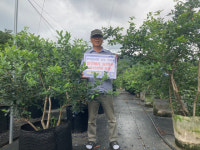 고성 세윤농원 허영도 대표, 블루베리 30박스 기탁