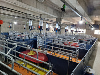 밀양 ‘축산+정보통신기술’ 확대