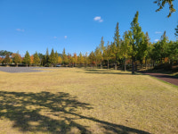 사천 첫 파크골프장 내년 1월 개장 전망