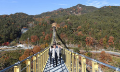 거창 수승대에 ‘길이 240m 출렁다리’ 생겼네