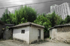 삶의 의미·사유의 감정 사진에 담다