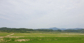 함안군 올해 조사료 생산 확대에 총력전