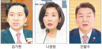 국힘 당 대표 경선, 결선 투표가 최대 변수