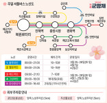 4년 만의 군항제, 버스 타고 즐겨요