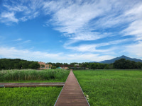 [람사르초록기자세상- 부산 을숙도 생태탐방] 자연·사람·동물의 ‘공존 공간’