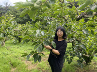 [The 청년농부   창원 청년농업인 탐방] ⑦·끝  이차미 차미농장 대표