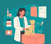 같은 지역서도 12배 차이… 도내 동물병원 진료비 ‘제각각’