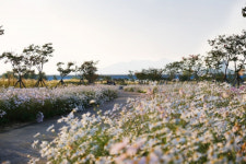 밀양 낙동강변 산책로 걸어보세요