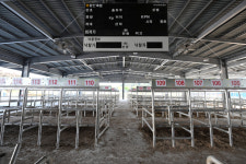 [포토뉴스] 가축시장 폐쇄