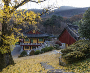 시와 함께 보는 경남의 명소 (81) 통도사 백련암