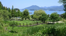 [듣고 싶은 길] 통영 RCE세자트라숲 산책길