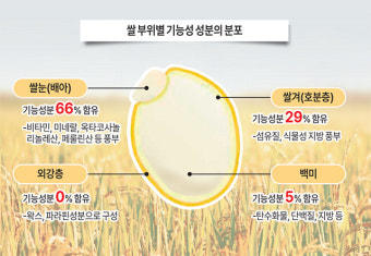 [기획] 다시 한 번 ‘밥심’으로 (2) 쌀의 가치- ‘밥’ 오해와 진실