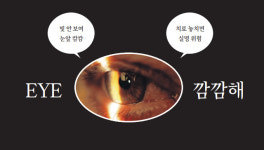 케이탑아이(eye) | [망막혈관폐쇄증] EYE 깜깜해