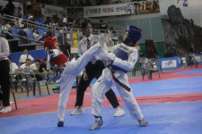 옥포가온누리태권도장, 교육감기 ‘금빛 발차기’