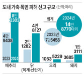 폭염특보 해제에도… 도내 축산·어업 피해 속출