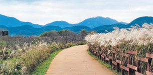 [주말ON 김시탁의 전원산책] (10) 주남저수지 둘레길을 걷다